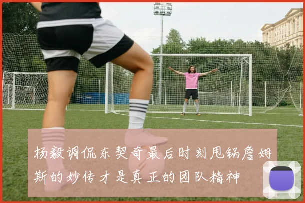 杨毅调侃东契奇最后时刻甩锅詹姆斯的妙传才是真正的团队精神