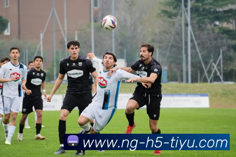 多媒体互动体验