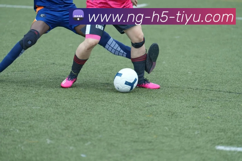 南宫体育APP 体育赛事宣传图